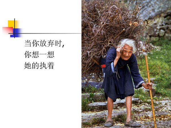 35岁后<em>女性</em>能<em>从事什么</em>样的<em>工作</em>? - 伊人话题-镇